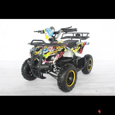 Квадроцикл GreenCamel Гоби K21 (12 Ah 36V 800W R6 Цепь) Граффити