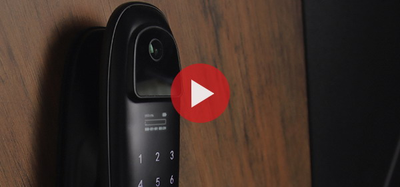 Стальная дверь   Loft с зеркалом (биометрический замок)