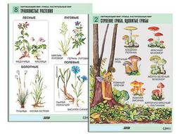 Комплект таблиц для нач. шк. "Окружающий мир. Грибы. Растительный мир" (12 табл., формат А1, лам.)