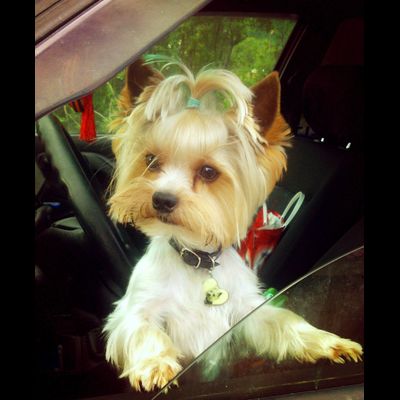 Комплект для изготовления брелков в виде сердец (заготовки с бортиками), 10 штук. Стандартное крепление!