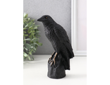 Фигурка гипс «Ворон на камне», 15.5×5.5×10 см, чёрная