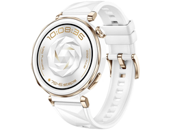 Huawei Watch GT 5 Pro (55020DGW) Белый