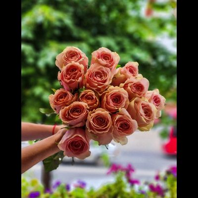 Роза Эквадор 60 см 15 шт