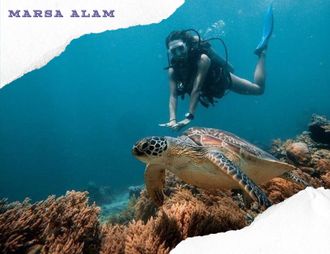SEA TRIP TO MARSA MUBARAK - DIVING TOUR
