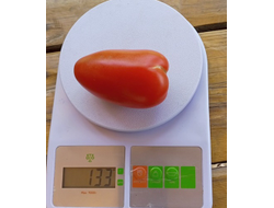 Томат Наследие Кати Мазотти