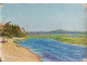 "Летний пейзаж" холст масло Степанов 1920-е годы