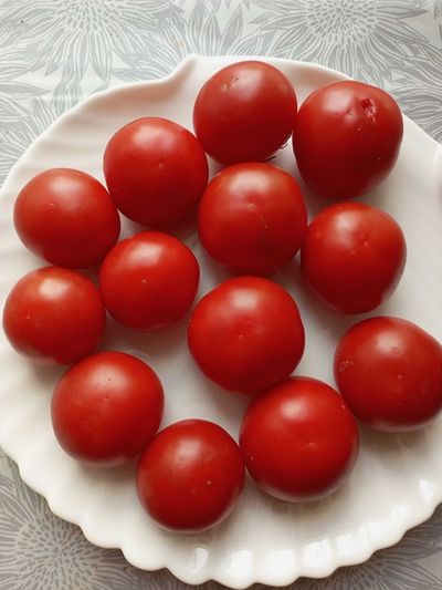 Томат Совершенство Ливингстона (Livingston's Perfection)