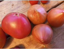 Томат Трюфельное сердце