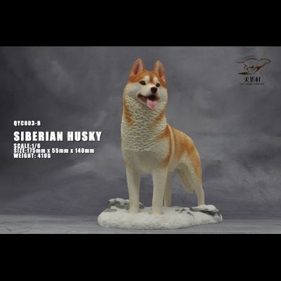 Сибирская хаски (рыжая) - Коллекционная ФИГУРКА 1/6 scale Husky (QYC003B) - QuanYingCun
