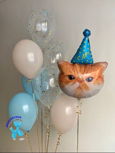 Набор шаров с котом в колпаке №20