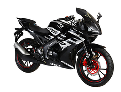 Купить Спортивный мотоцикл Wels Superior 250сс