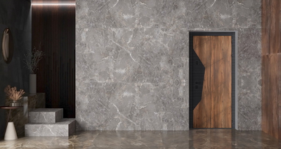 Стальная дверь   Сапсан с зеркалом (адаптивная замковая часть)