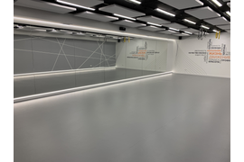 Зал № 2      танцевальный        (76,0 кв.м.)