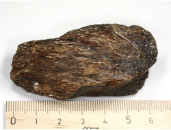 Астрофиллит, Кольский п-ов, Хибины (65*32*23 мм, 72 г) №26893