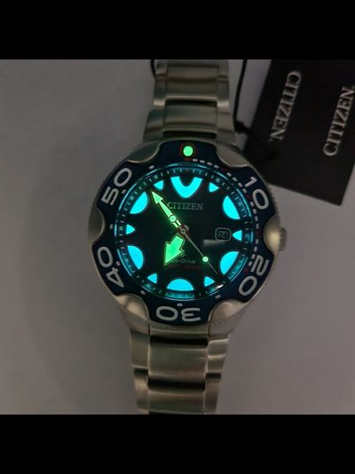 Наручные часы Citizen BN0231-52L