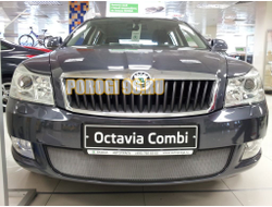 Защита радиатора Skoda Octavia А5 2009-2012 chrome