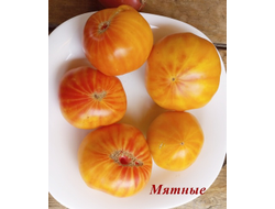 Томат Мятные (Peppermint) США