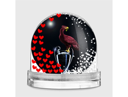 Водяной шар Ливерпуль, Liverpool FC №6