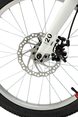 Велосипед TT231/ 1ск 20" фиолетовый рама 12"