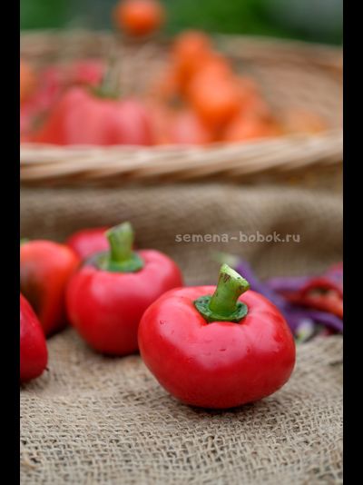 Перец сладкий Маусики, 10 шт