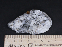 Циркон (кристаллы в породе), Россия, Южный Урал, Вишневые горы (66*38*16 мм, 33 г) №17772