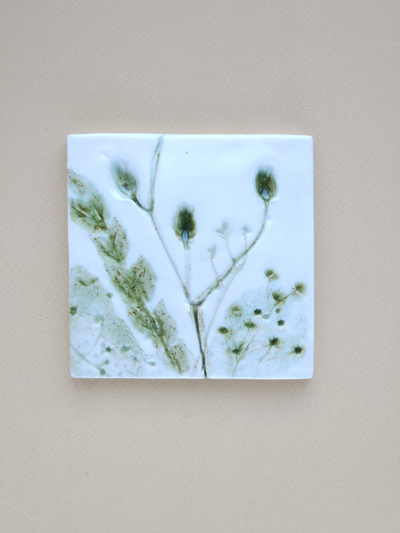 Шалфей // 10*10