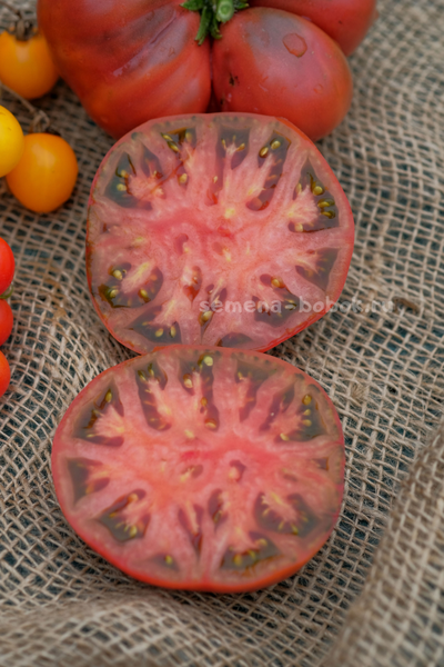 Томат Dwarf Tasty Wine (Гном Вкусное Вино), 10 шт