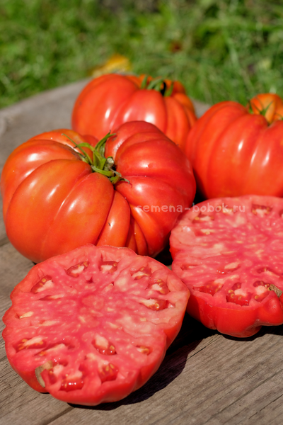 Томат Гигант Фарина, 10 шт