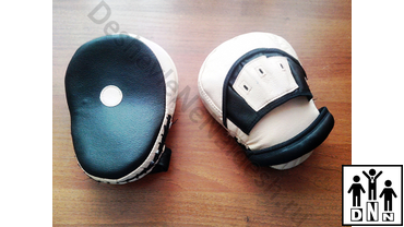 Боксёрские лапы / тайские пэды