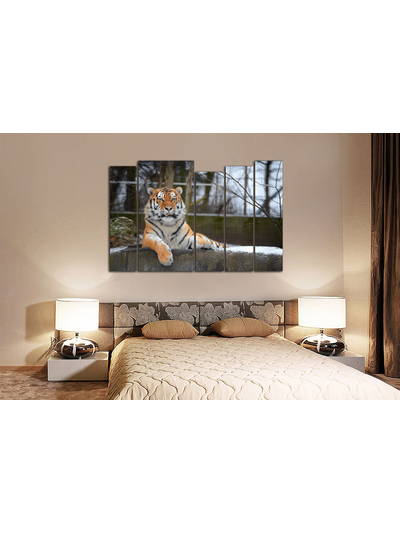 Модульная картина "Спокойный тигр"