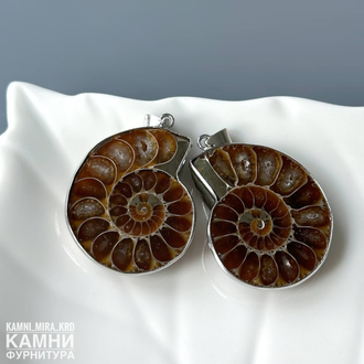 Аммониты парные крупные кулоны 28-34х23-28 мм, цена за пару