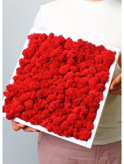 Живая Эко-Картина 1082