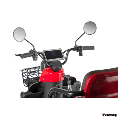 Электротрицикл Rutrike Gelbert Kappa 48V/60V 650Вт красный