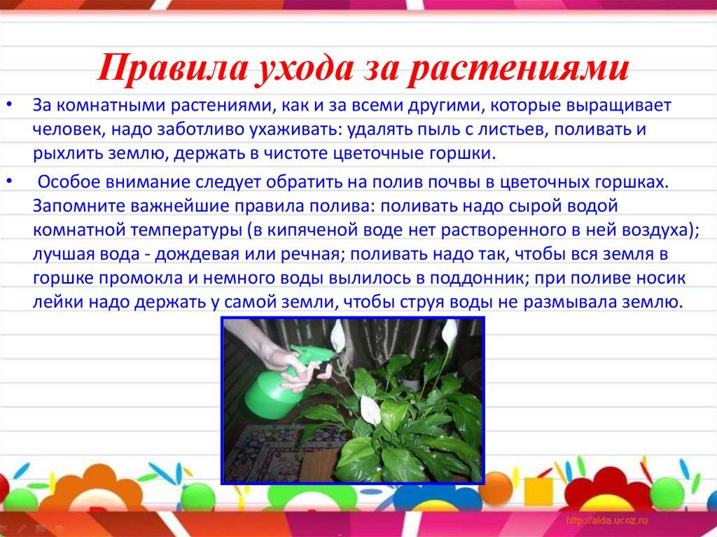 Почему нужно ухаживать за культурными растениями примеры
