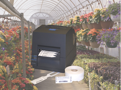 Citizen CL-S621 принтер