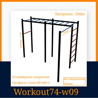 Спортивная площадка WORKOUT w09
