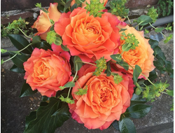 Фри спирит, Ч/Г, срезочная. Tantau