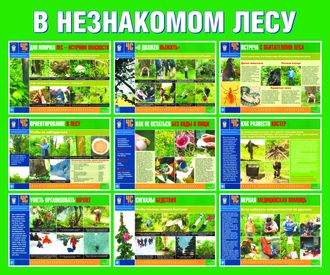 Стенд «В незнакомом лесу»
