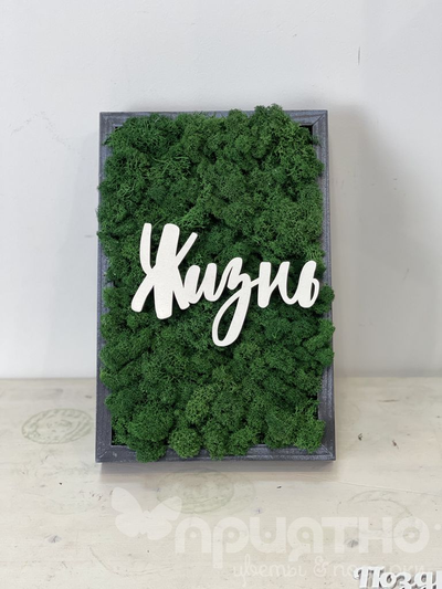 ЖИВАЯ ЭКО-КАРТИНА 1054