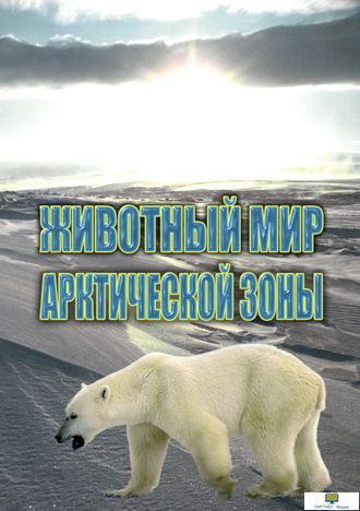 Учебный фильм. Животный мир Арктической зоны