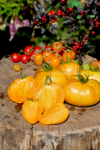 Томат Дынный Ликёр, 10 шт