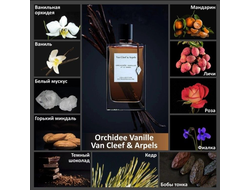 Van Cleef & Arpels - Orchidee Vanille (2009)