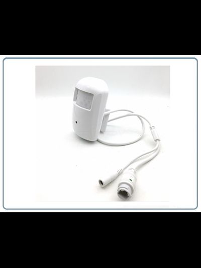 Видеоняня/Охранная IP WiFi-LAN видеокамера с ночным видением и аудиоканалом (корпус ИК датчика), встроенный DVR. Full HD (CamHi)