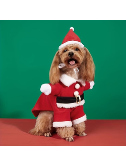 Новогодний костюм Санты для собак и кошек