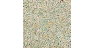 Жидкие обои Silk Plaster Prestige (Престиж) 407