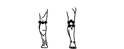 Фитокомплекс ВолгаЛадь №1, профилактика артроза, бурсита, артрита и других заболеваний суставов, 30 мл