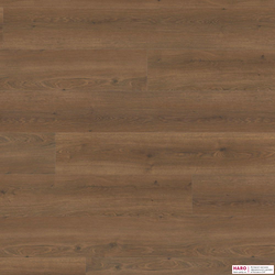Декор ламината Haro Дуб Флавия Дымчатый 544793 фронт