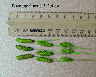 "Сережки ольхи" силиконовый молд