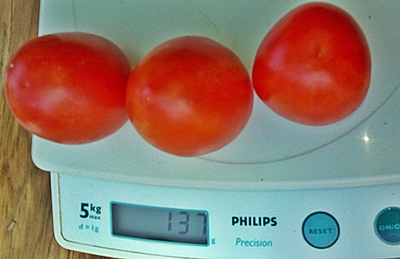 Томат Титан розовый