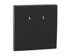 Клавиша для 2-кл выключателя с подсветкой, матовый черный, Logus 90 - Efapel 90615 TPM